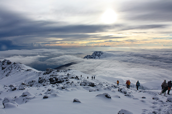 kilimanjaro group