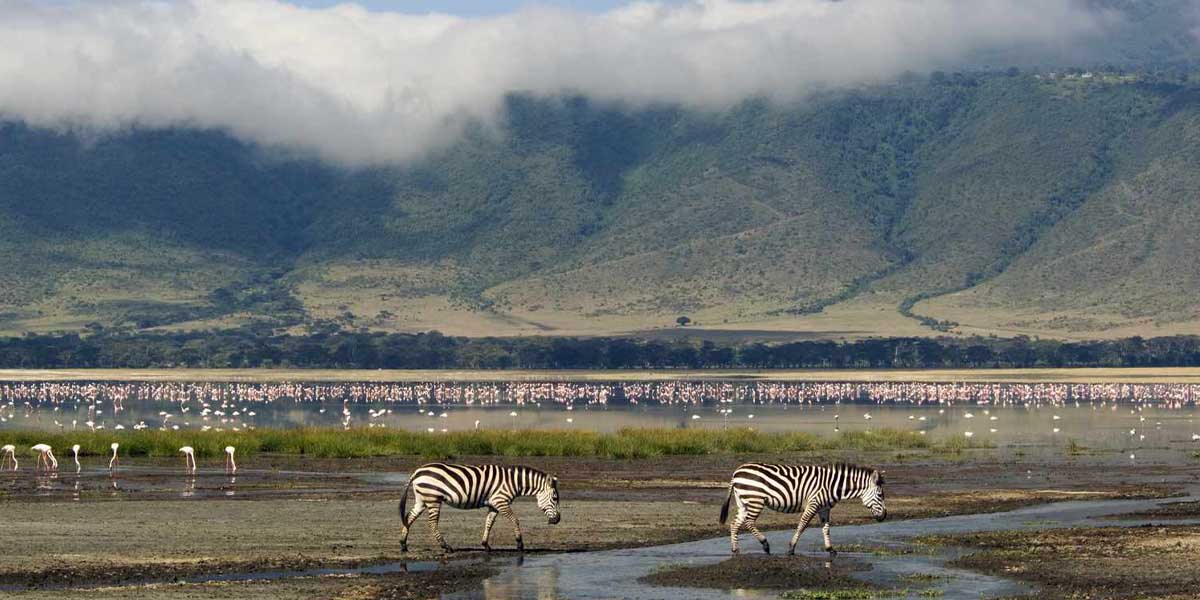 ngorongoro