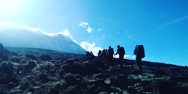 7-Day vs 8-Day Lemosho dilemma, but they both take you to Uhuru Peak.