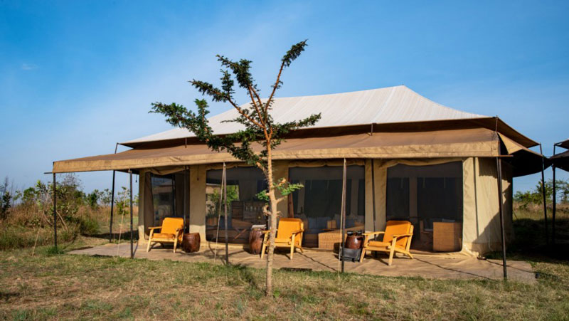Booking a lodge on safari without meals inclusion is one of the Mistakes to Avoid When Booking Hotels in Tanzania 