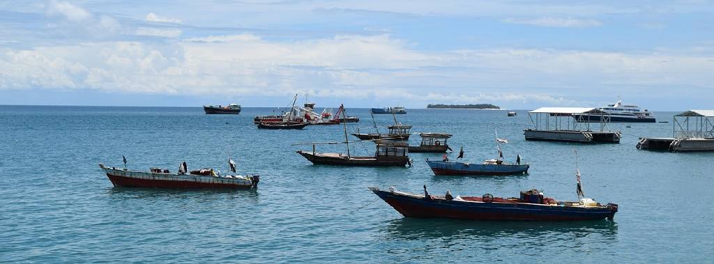 Safari From Zanzibar: Which Safari Is Right for You?